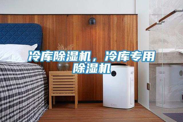 冷庫除濕機(jī)，冷庫專用除濕機(jī)