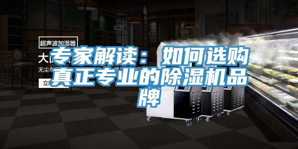 專家解讀：如何選購(gòu)真正專業(yè)的除濕機(jī)品牌