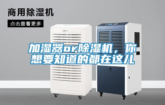 加濕器or除濕機(jī)，你想要知道的都在這兒