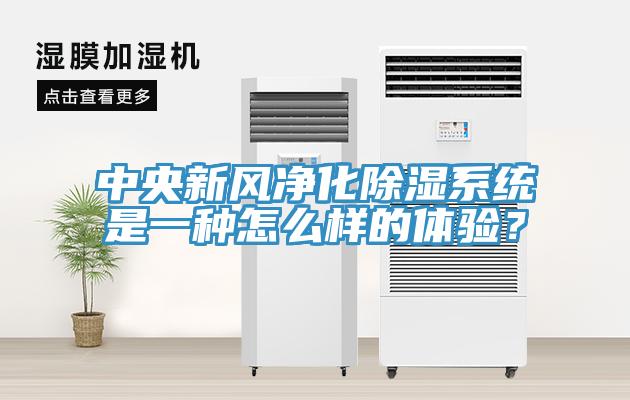 中央新風(fēng)凈化除濕系統(tǒng)是一種怎么樣的體驗(yàn)？
