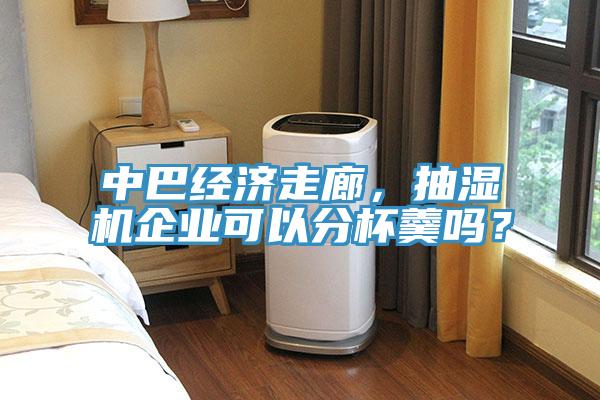 中巴經(jīng)濟(jì)走廊，抽濕機(jī)企業(yè)可以分杯羹嗎？