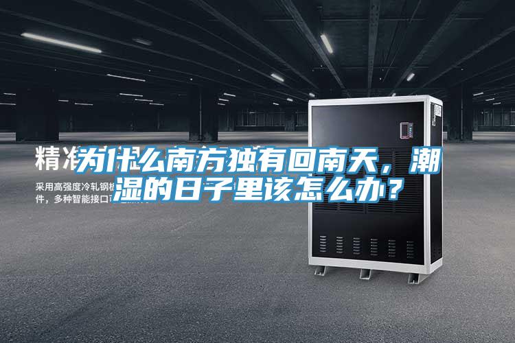 為什么南方獨(dú)有回南天，潮濕的日子里該怎么辦？