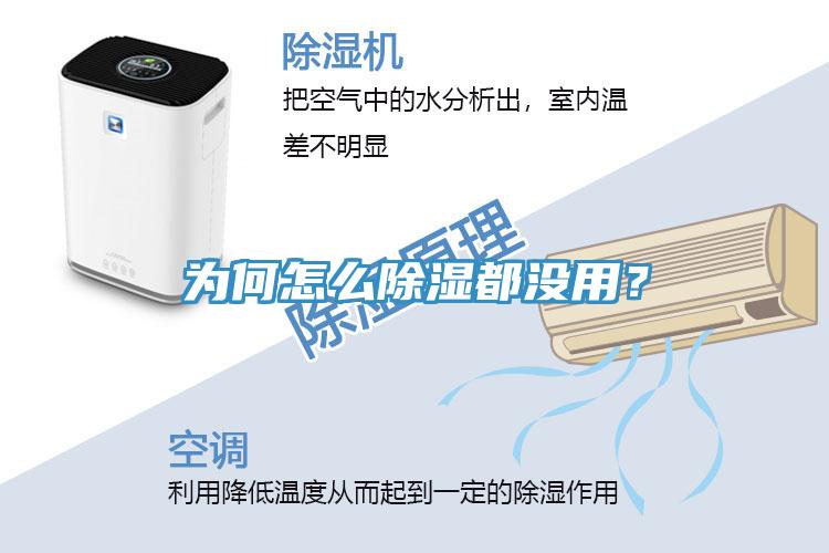 為何怎么除濕都沒(méi)用？
