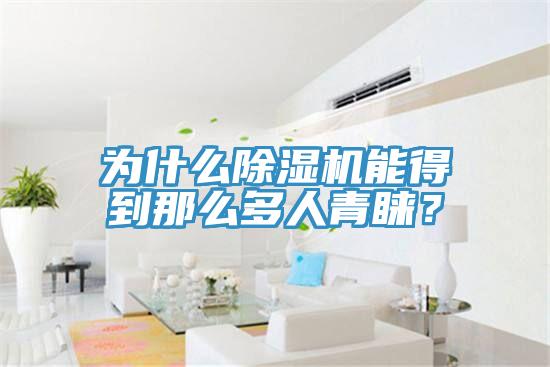 為什么除濕機(jī)能得到那么多人青睞？
