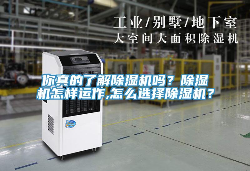 你真的了解除濕機(jī)嗎？除濕機(jī)怎樣運(yùn)作,怎么選擇除濕機(jī)？