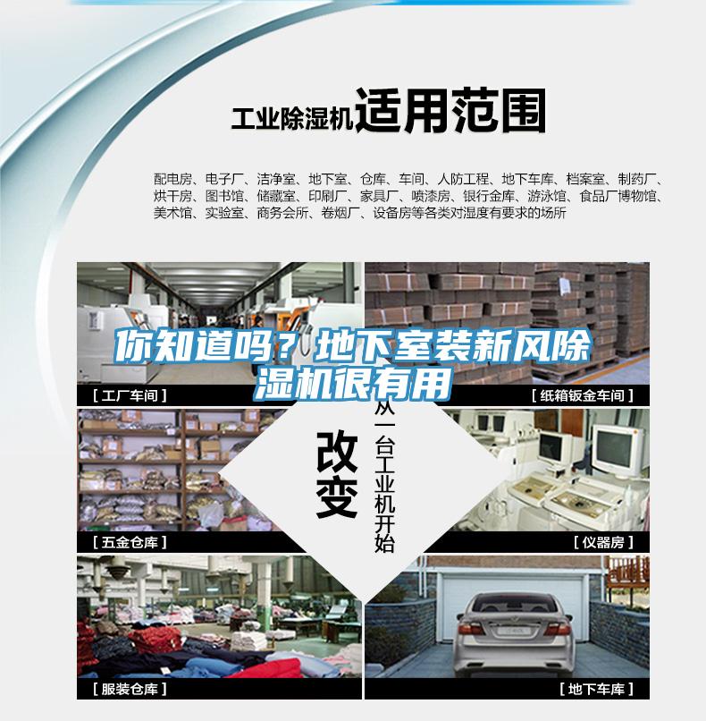 你知道嗎？地下室裝新風(fēng)除濕機(jī)很有用