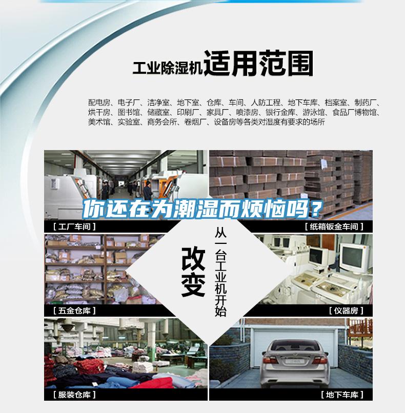 你還在為潮濕而煩惱嗎？