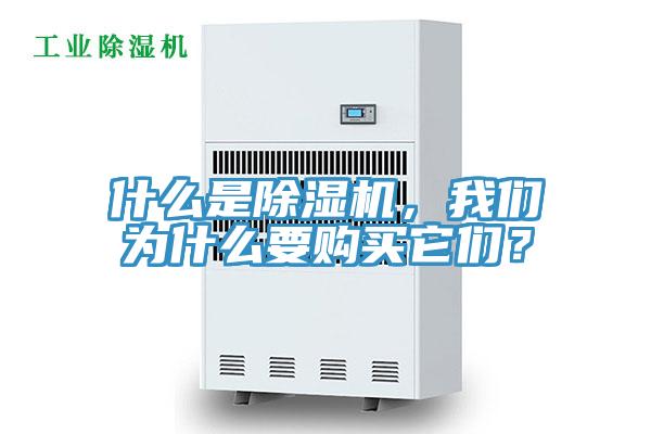 什么是除濕機(jī)，我們?yōu)槭裁匆徺I它們？