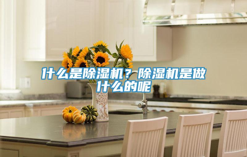 什么是除濕機(jī)？除濕機(jī)是做什么的呢