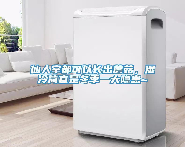 仙人掌都可以長出蘑菇，濕冷簡直是冬季一大隱患~