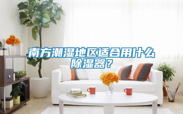 南方潮濕地區(qū)適合用什么除濕器？