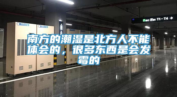 南方的潮濕是北方人不能體會的，很多東西是會發(fā)霉的