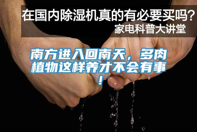 南方進(jìn)入回南天，多肉植物這樣養(yǎng)才不會有事！