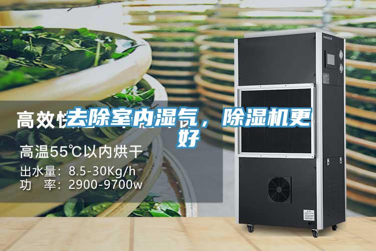 去除室內(nèi)濕氣，除濕機(jī)更好