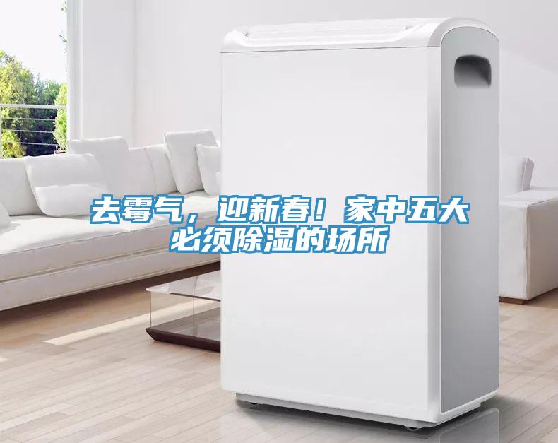 去霉氣，迎新春！家中五大必須除濕的場所