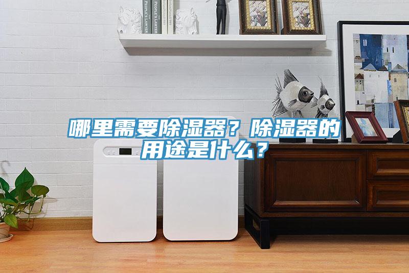 哪里需要除濕器？除濕器的用途是什么？