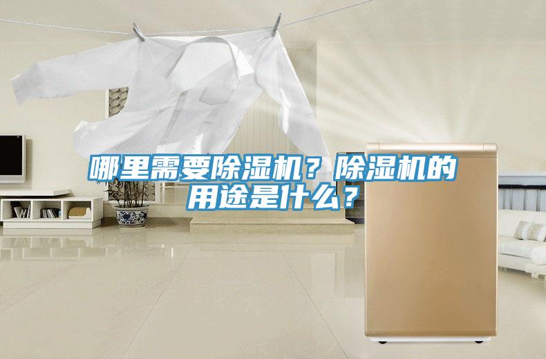 哪里需要除濕機(jī)？除濕機(jī)的用途是什么？