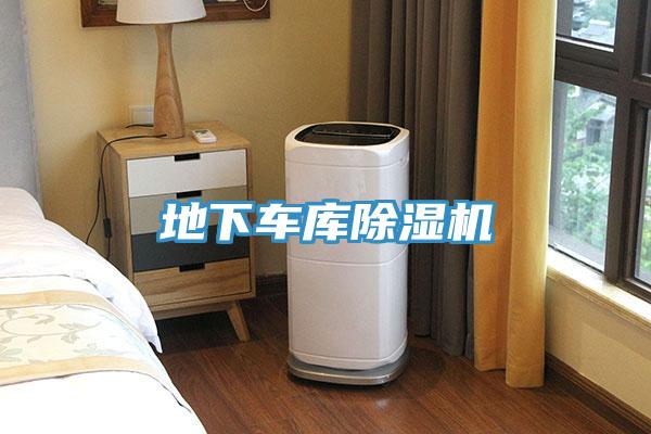 地下車庫(kù)除濕機(jī)