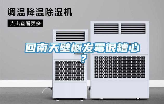 回南天壁櫥發(fā)霉很糟心？