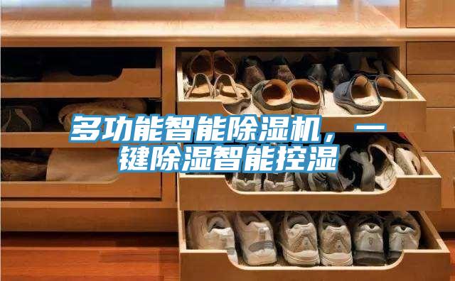 多功能智能除濕機(jī)，一鍵除濕智能控濕