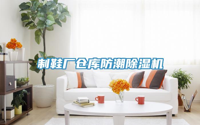 制鞋廠倉(cāng)庫(kù)防潮除濕機(jī)