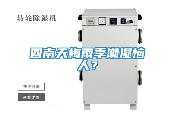 回南天梅雨季潮濕惱人？